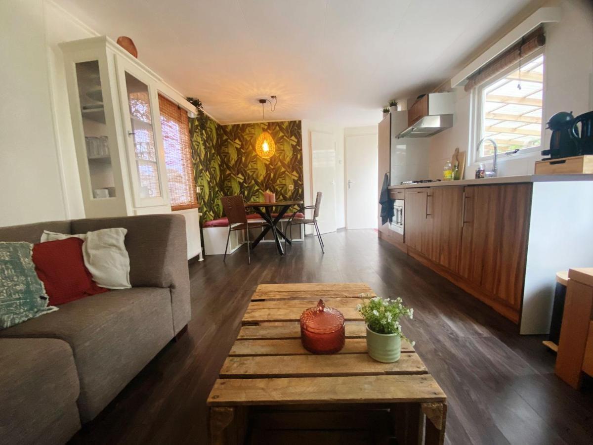 Chalet With Access To The Woods - No 147 Anloo Exteriér fotografie