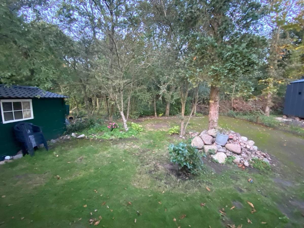 Chalet With Access To The Woods - No 147 Anloo Exteriér fotografie